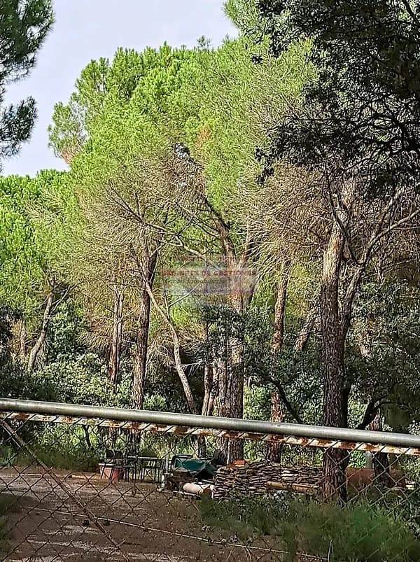 Terreno urbano de 1 ha en venta en Albacete, Albacete