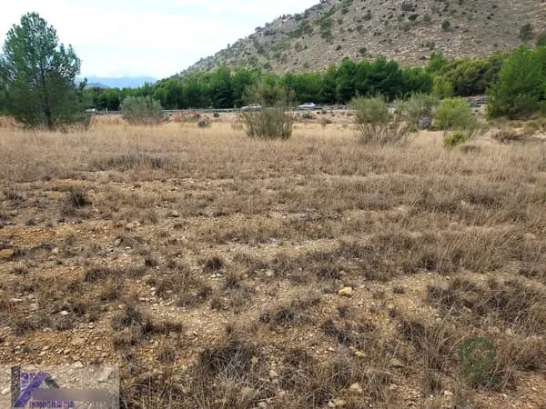 Finca agrícola de 1,8 ha en venta en Cieza, Murcia