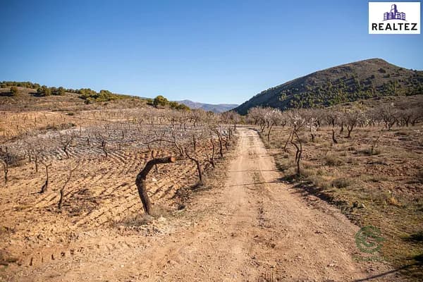 Finca agrícola de 2,1595 ha en venta en Alcolea, Almeria