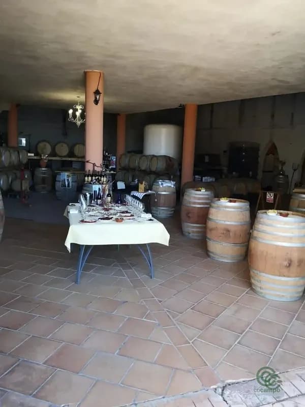 Finca agrícola de 18 ha en venta en Ronda, Malaga