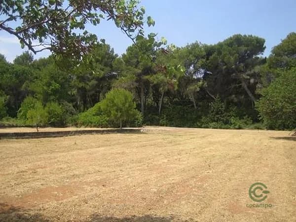 Finca rústica de 2 ha en venta en Denia, Alicante