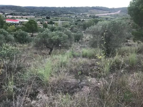Finca agrícola de 1 ha en venta en Sant pere de riudebitlles, Barcelona
