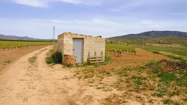 Agricultural property of 5,85 ha for sale in Alicante