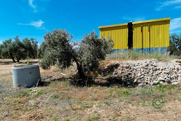 Finca agrícola de 16 ha en venta en Jaén