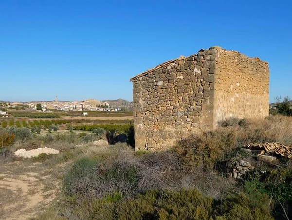 Finca rústica de 0,2 ha en venta en Maella, Zaragoza