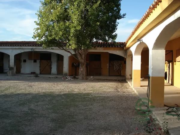Finca rústica de 1 ha en venta en Valencia