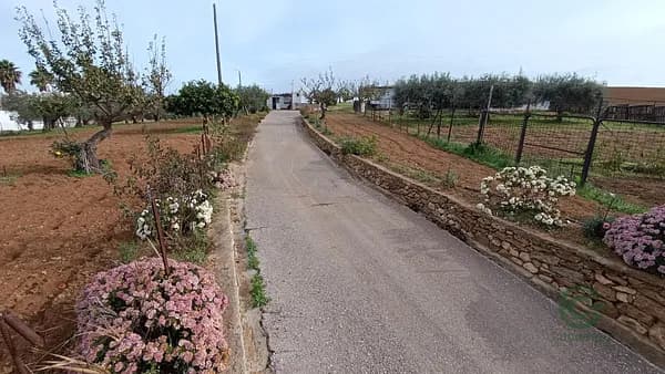 Finca rústica de 2,6832 ha en venta en Arcos de la frontera, Cadiz