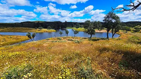 Finca rústica de 155 ha en venta en Córdoba