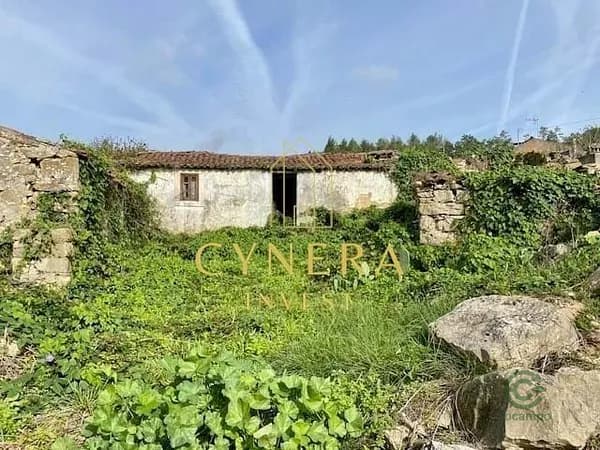 Finca agrícola de 0,9954 ha en venta en Aljubarrota, Leiria