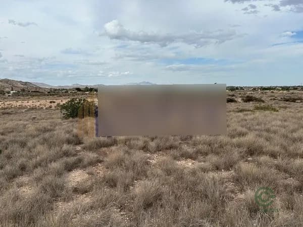 Finca rústica de 2,0842 ha en venta en Verdegas, Alicante