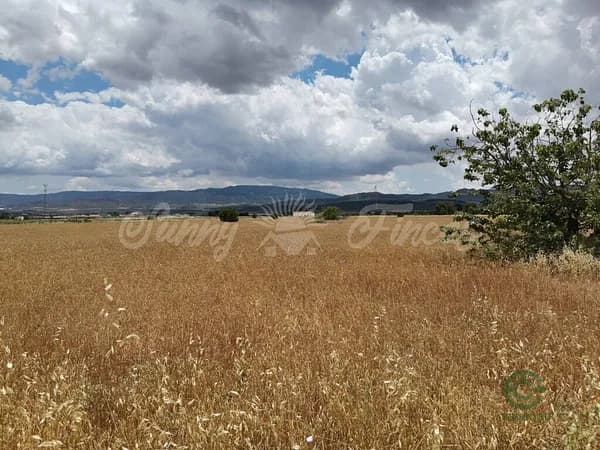 Finca agrícola de 0,72 ha en venta en Yecla, Murcia