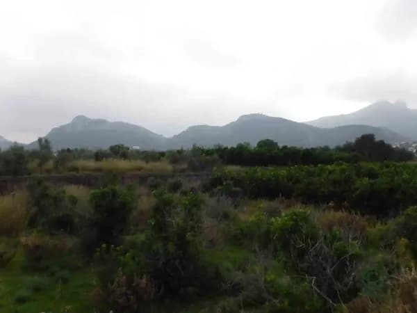 Agricultural property of 2,5 ha for sale in Alicante