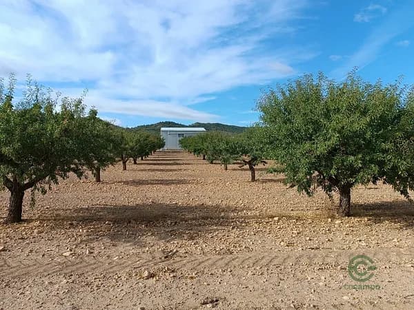 Finca agrícola de 58 ha en venta en Yecla, Murcia