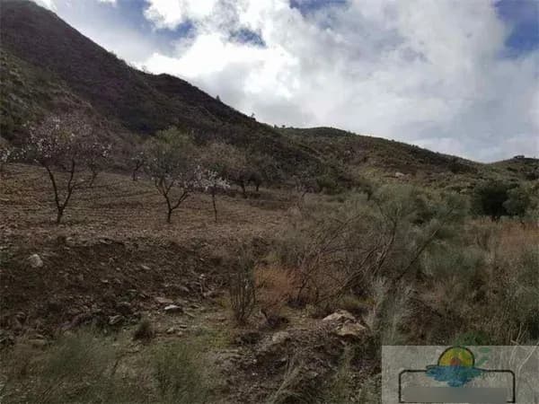 Finca agrícola de 30,6 ha en venta en Albánchez, Almería