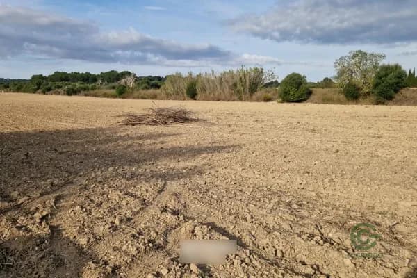 Finca rústica de 0,5097 ha en venta en Porreres, Baleares