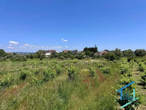 Finca rústica de 0,136 ha en venta en Tomar, Santarém