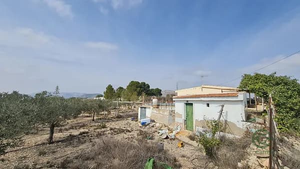 Finca agrícola de 0,5916 ha en venta en La romana, Alicante