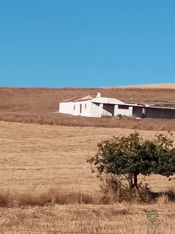 Finca rústica de 17,5 ha en venta en Córdoba