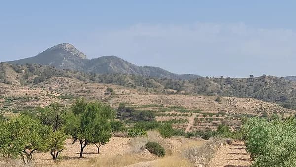 Finca agrícola de 0,64 ha en venta en Abanilla, Murcia