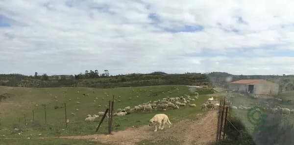 Finca rústica de 200 ha en venta en Valverde del camino, Huelva