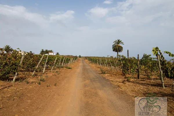 Finca rústica de 6,89 ha en venta en Santa úrsula, Tenerife