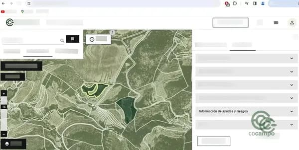 Finca rústica de 8,39 ha en venta en Alicante