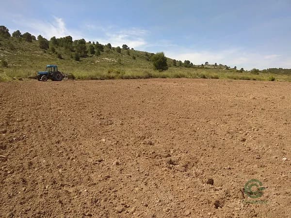 Finca agrícola de 50 ha en venta en Yecla, Murcia