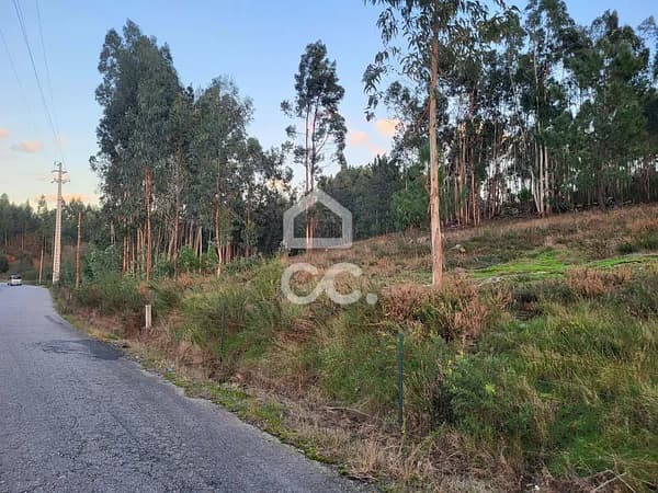 Finca rústica de 3 ha en venta en Sande são lourenço e balazar, Braga