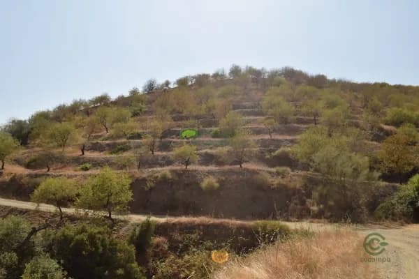 Finca agrícola de 16,5 ha en venta en Sedella, Malaga
