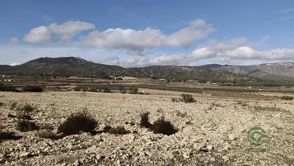 Finca agrícola de 1,02 ha en venta en Salinas, Alicante