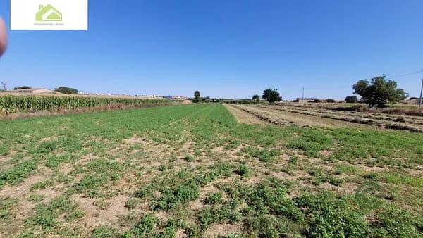 Finca agrícola de 0,52 ha en venta en Zamora, Zamora