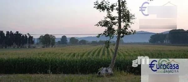 Finca rústica de 1 ha en venta en Villalazán, Zamora