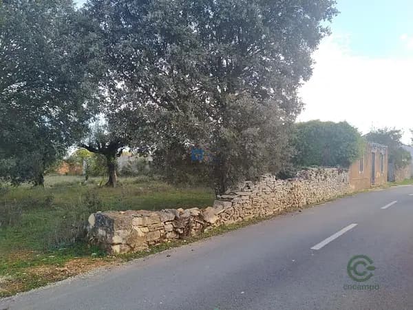 Finca rústica de 0,318 ha en venta en Fátima, Santarém