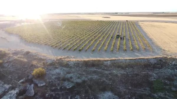 Finca agrícola de 4,3 ha en venta en Valladolid