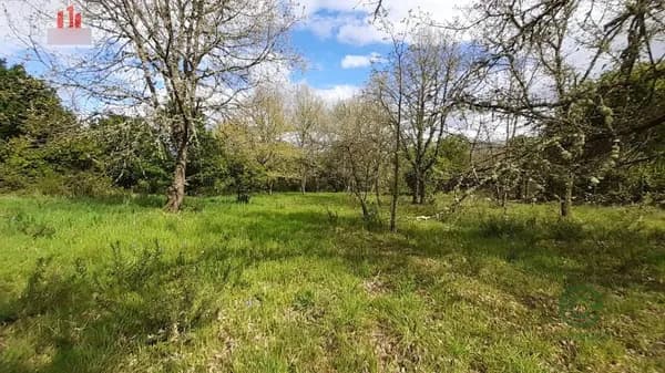 Finca agrícola de 0,1047 ha en venta en Ourense, Orense
