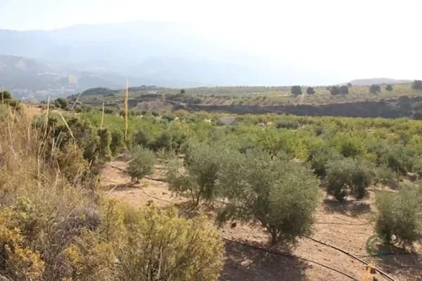Finca rústica de 2 ha en venta en El valle, Granada