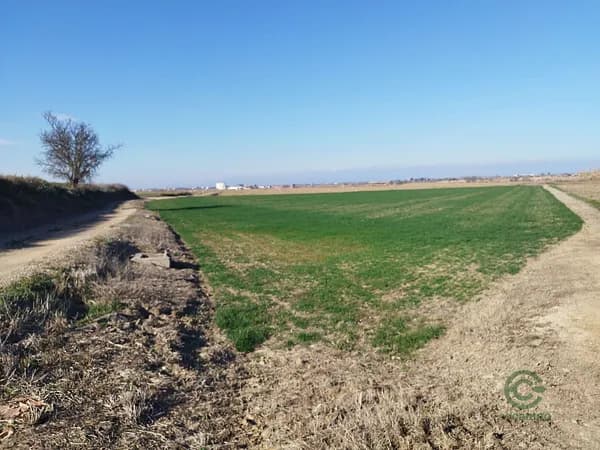 Finca agrícola de 0,86 ha en venta en Alamus (els), Lleida