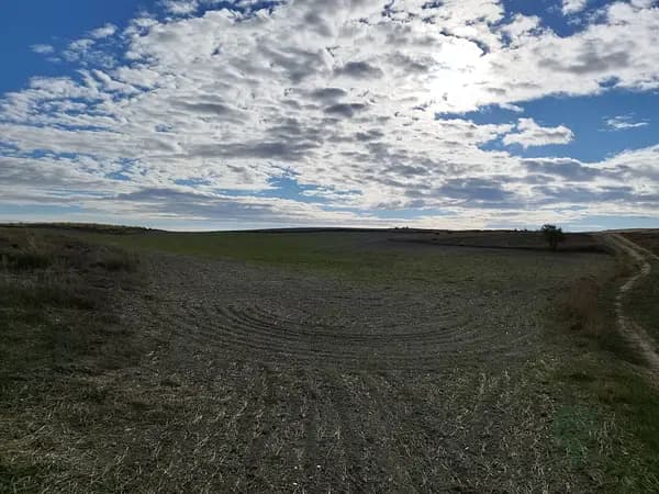 Finca agrícola de 3,19 ha en venta en Madrid