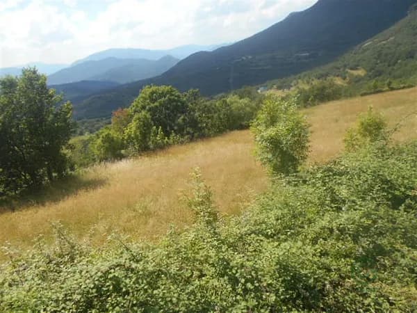 Finca rústica de 20 ha en venta en Pueyo de araguás, Huesca