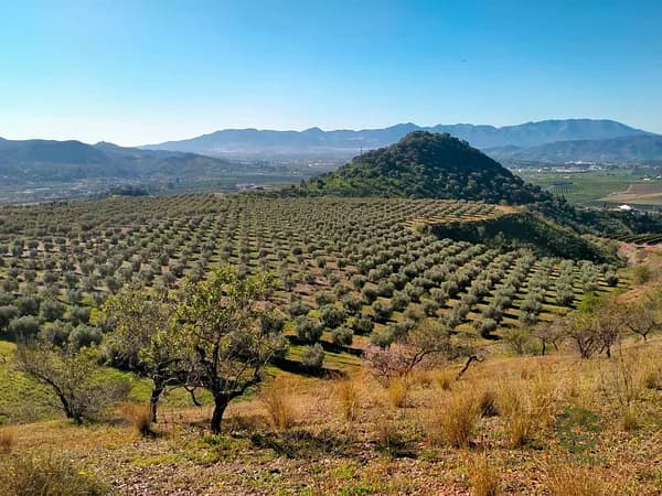 Finca agrícola de 15,46 ha en venta en Málaga