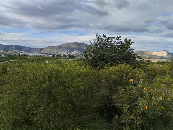 Finca agrícola de 1 ha en venta en Pego, Alicante