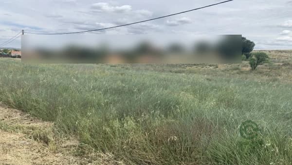 Finca rústica de 2,5 ha en venta en Chinchon, Madrid