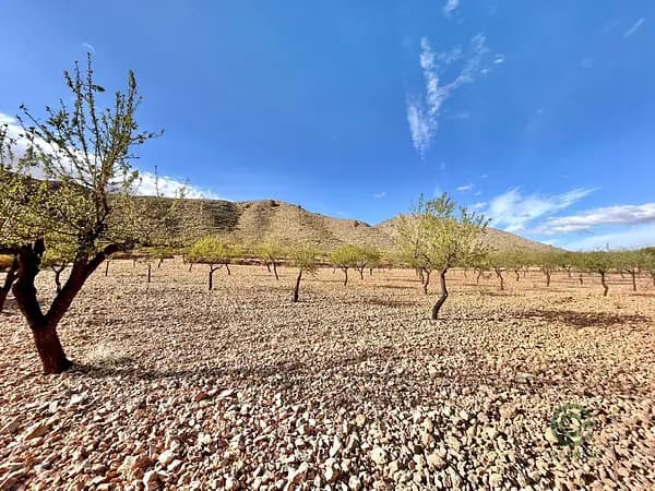 Finca rústica de 1,4305 ha en venta en Orihuela, Alicante