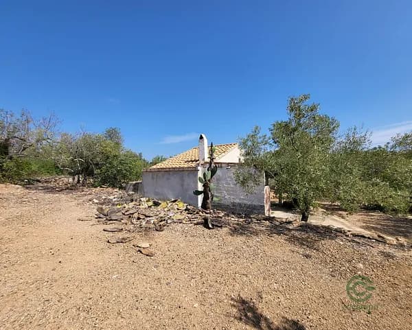 Finca agrícola de 2,5741 ha en venta en L` ampolla, Tarragona