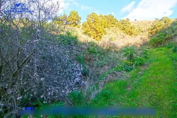 Finca agrícola de 0,546 ha en venta en Aguatavar, Santa cruz de tenerife