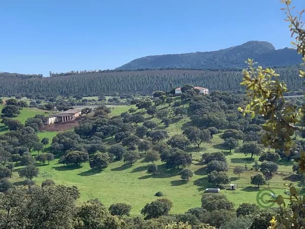 Finca rústica de 350 ha en venta en Garbayuela, Badajoz