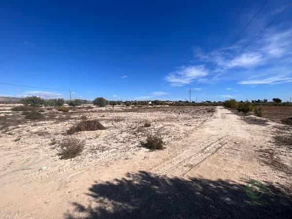 Finca rústica de 1,15 ha en venta en Crevillent, Alicante