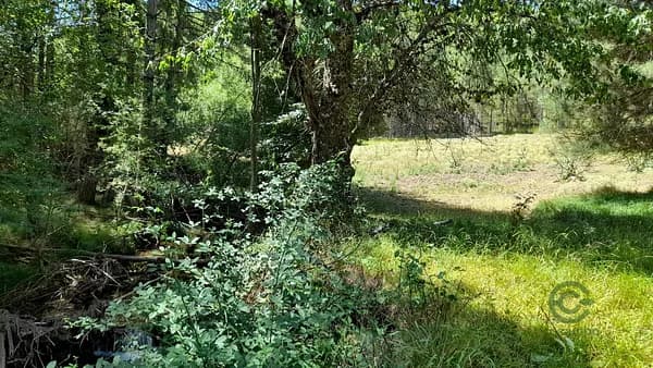 Finca rústica de 401 ha en venta en Siles, Jaén