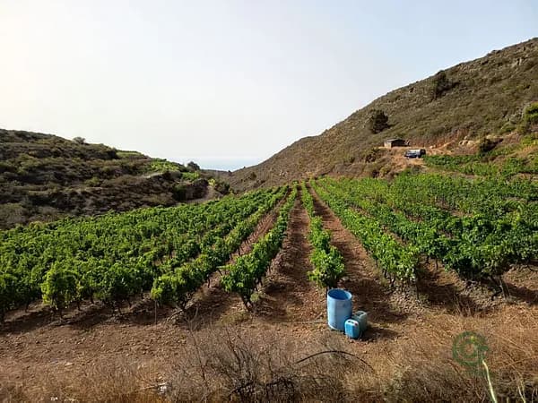 Finca rústica de 12,71 ha en venta en Santa cruz de tenerife