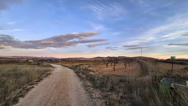 Finca agrícola de 0,77 ha en venta en Murcia